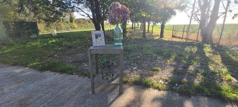 ꧁•⊹٭𝙰𝚐𝚕𝚊é٭⊹•꧂ - Miniature 5